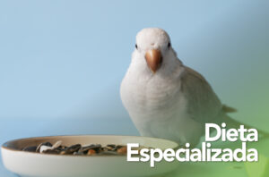 Dieta Especializada para Animales