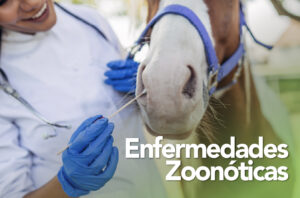 Enfermedades Zoonoticas